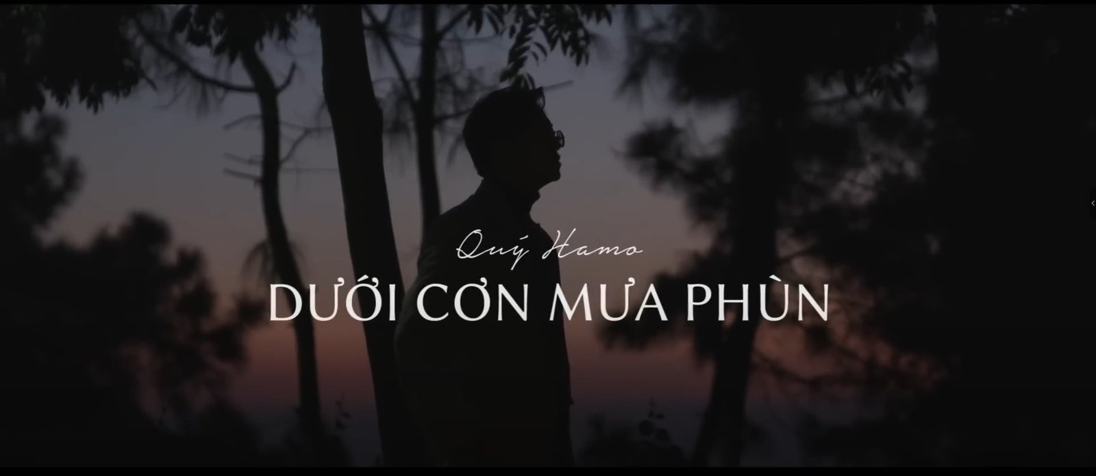 Dưới Cơn Mưa Phùn - Quý Hamo Thumbnail